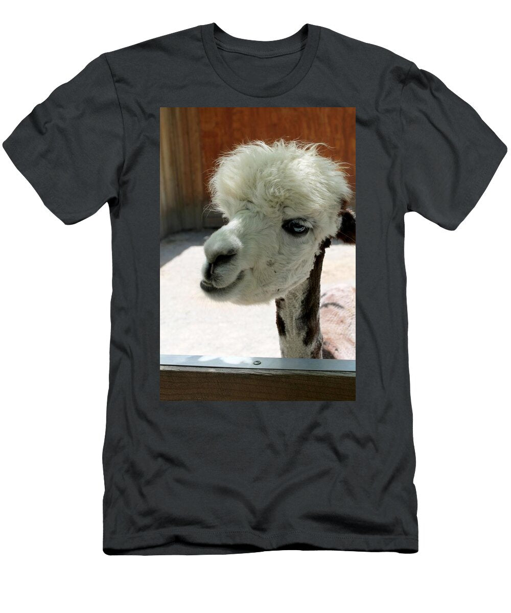 Alpaca B6 Les Classics T-Shirt