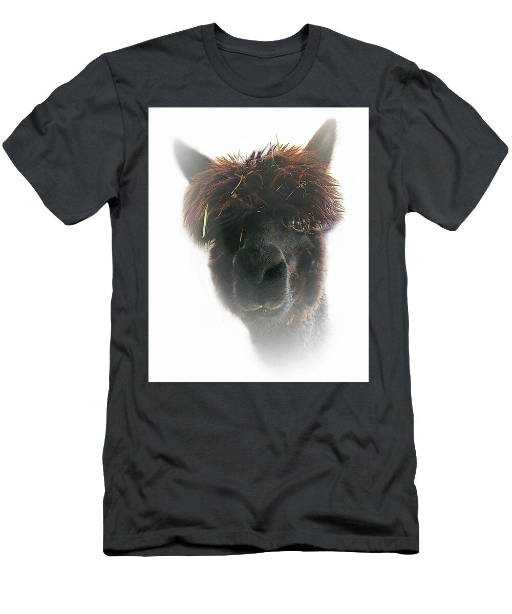 Alpaca Black Don Schimmel T-Shirt