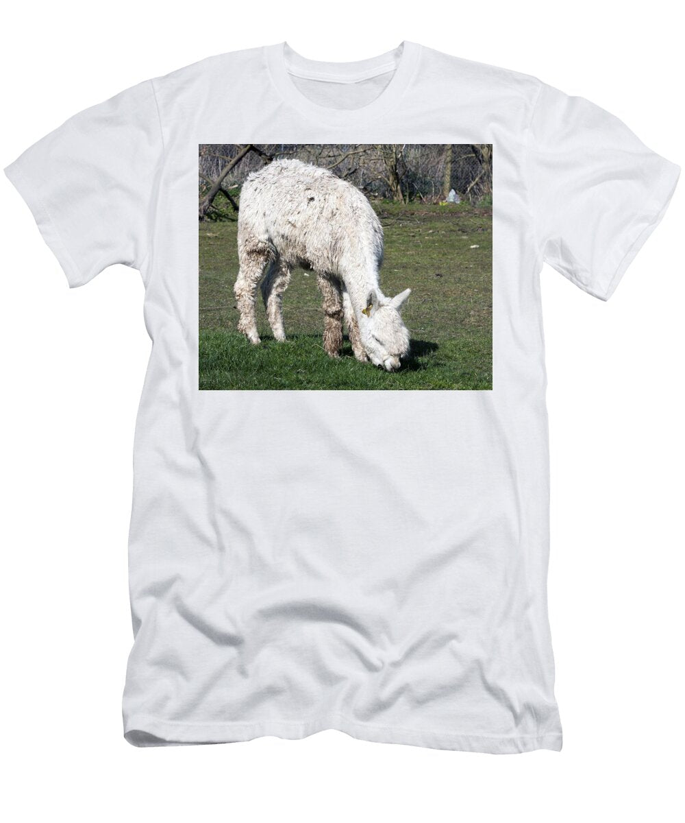Alpaca C7 Les Classics T-Shirt