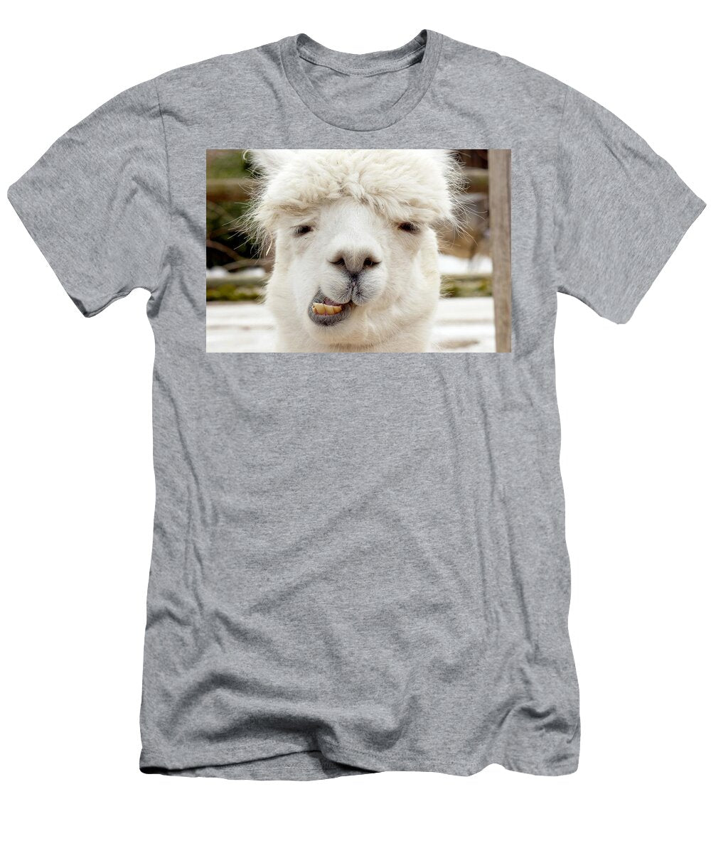 Alpaca Chewing Les Classics T-Shirt
