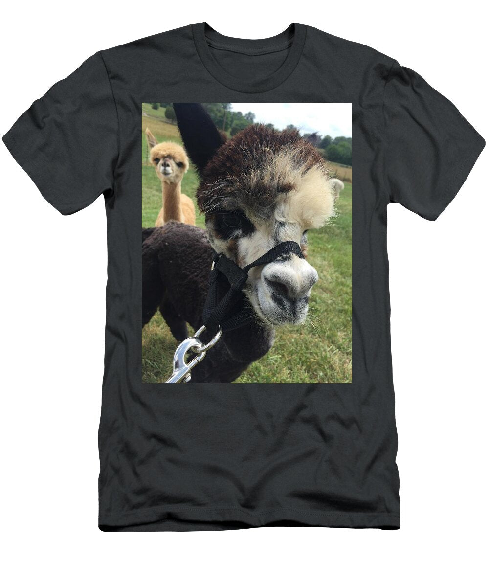 Alpaca Cisco Les Classics T-Shirt