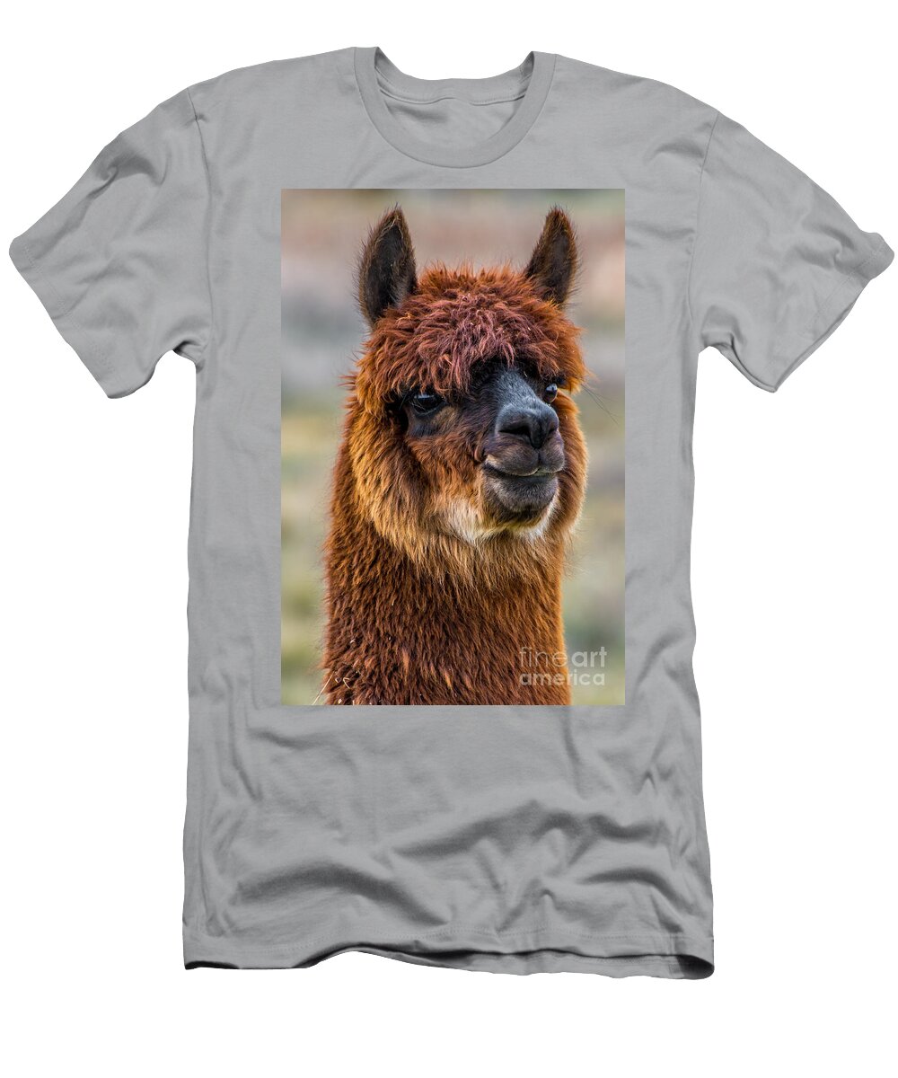 Alpaca Close Up on Utah Farm Gary Whitton T-Shirt