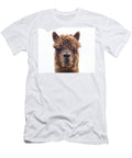 Alpaca Domestic Animal Head Portrait Newton Farm Niall Benvie Natureplcom T-Shirt