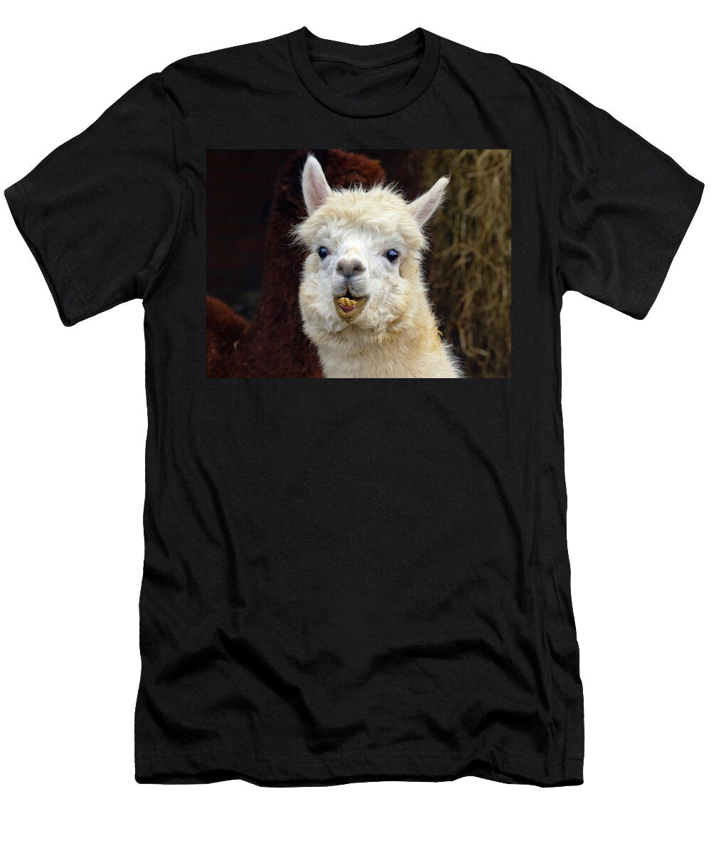 Alpaca Domestic Animal on Farm Norfolk England UK Ernie Janes Natureplcom T-Shirt
