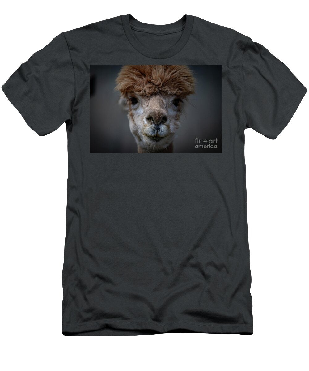 Alpaca Erin Okeefe T-Shirt