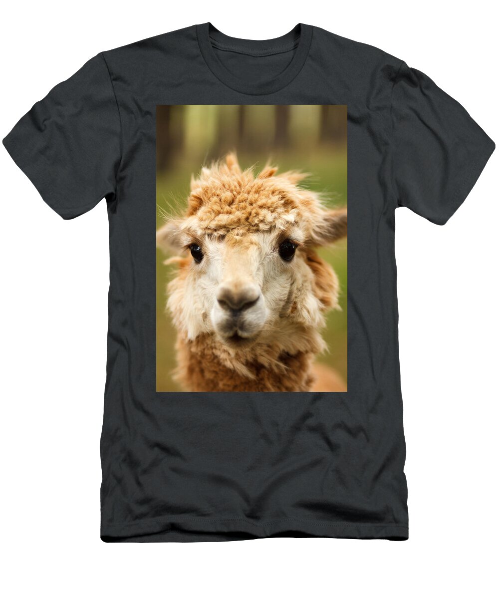 Alpaca Eyes Shane Holsclaw T-Shirt