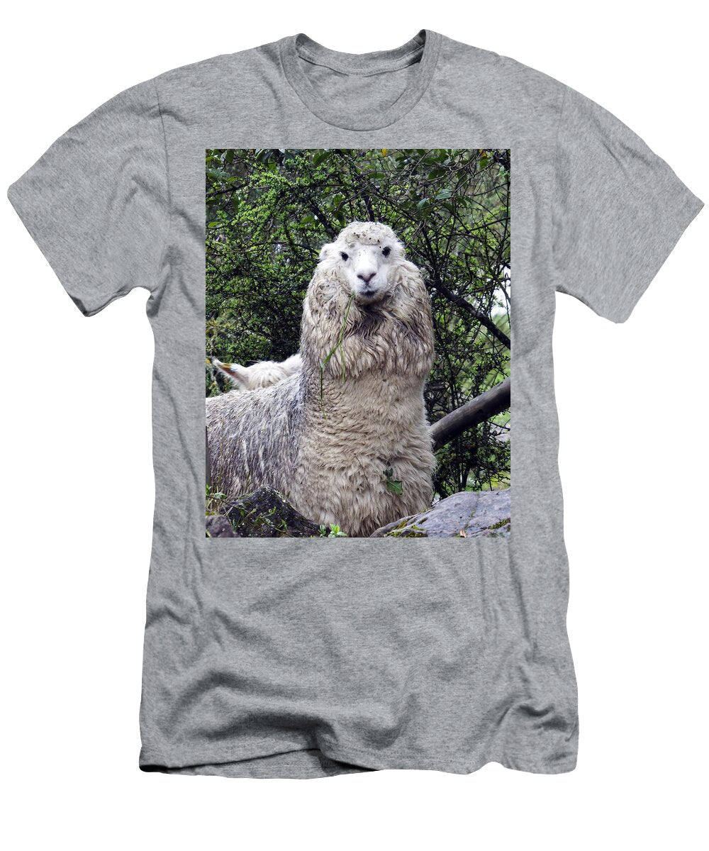 Alpaca Face Ecuador Kurt Van Wagner T-Shirt
