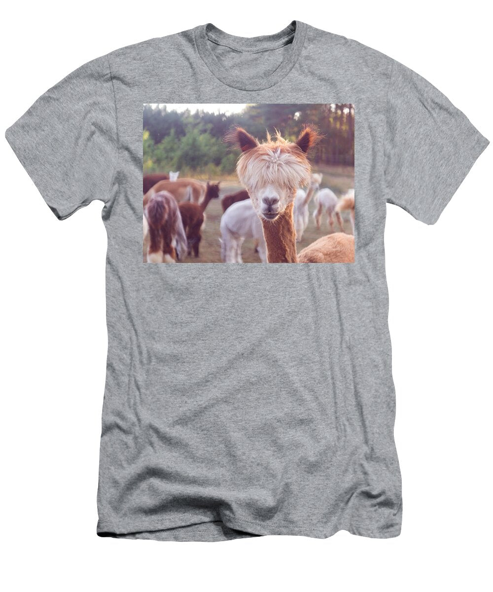 Alpaca Face Julien T-Shirt