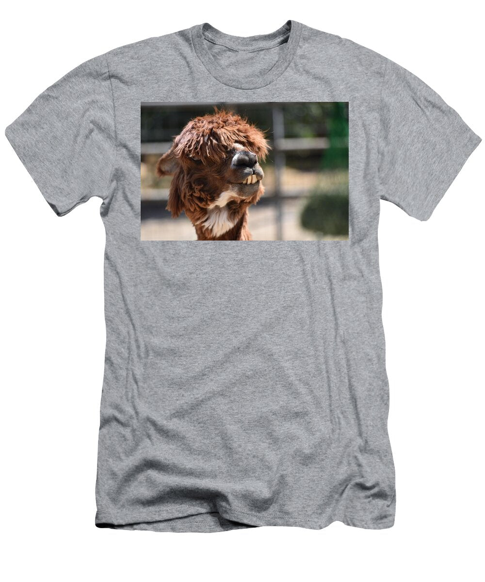Alpaca Face Portrait 2 Les Classics T-Shirt