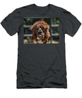Alpaca Face Portrait Les Classics T-Shirt