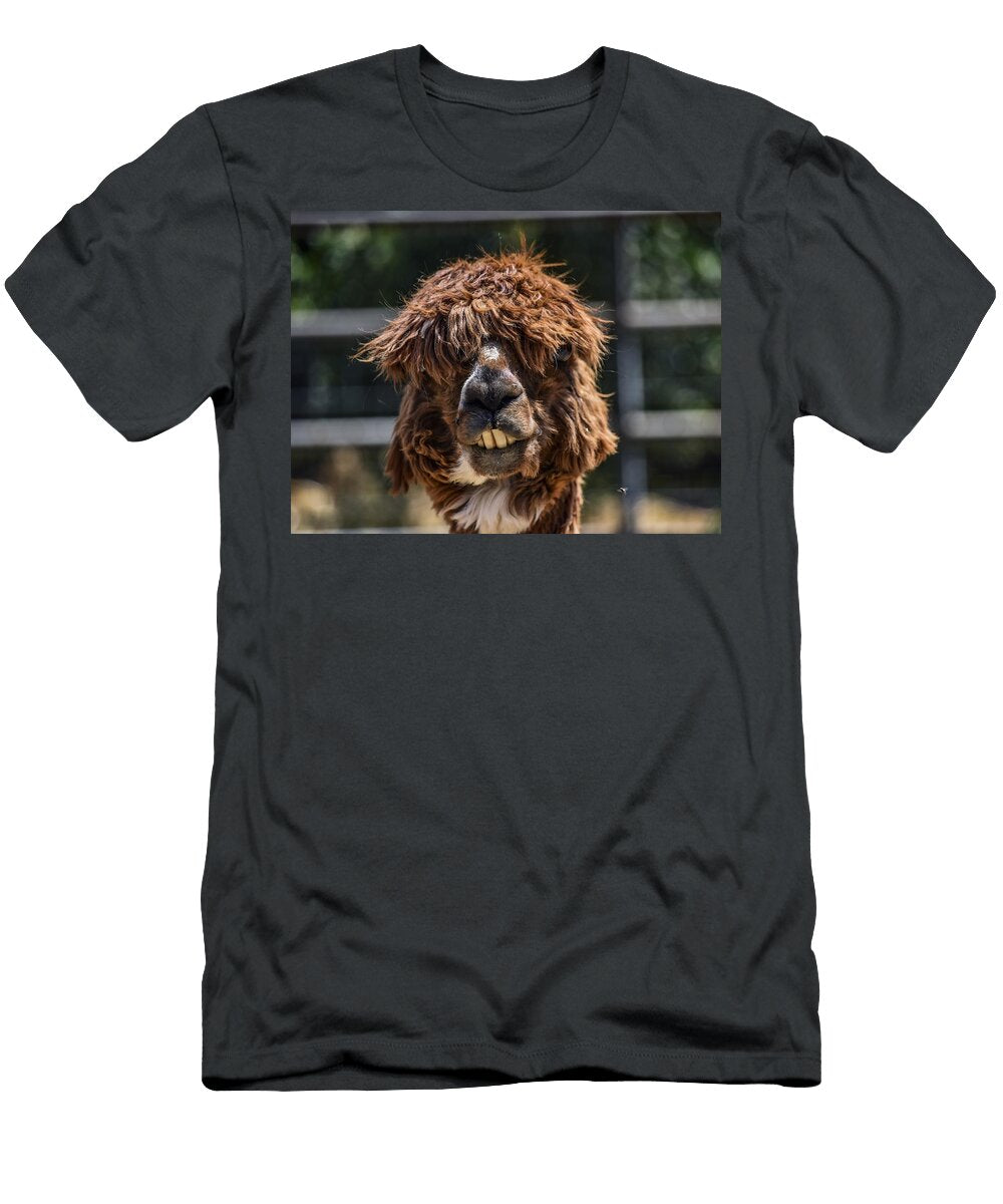 Alpaca Face Portrait Les Classics T-Shirt