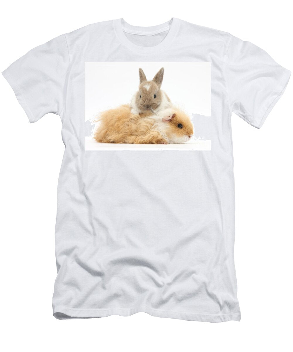 Alpaca Guinea Pig and Baby Rabbit Mark Taylor T-Shirt