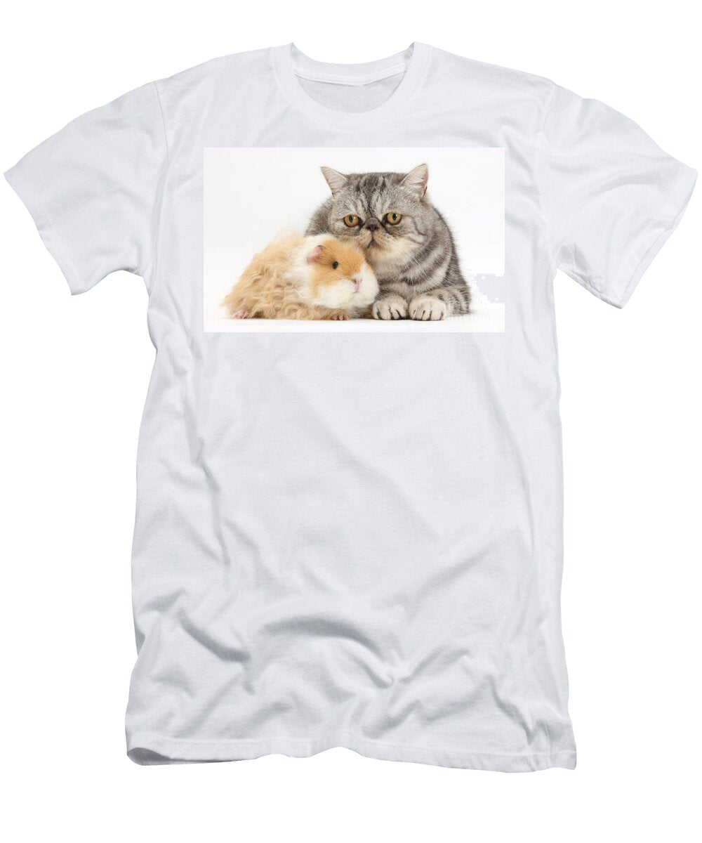 Alpaca Guinea Pig and Silver Tabby Cat Mark Taylor T-Shirt