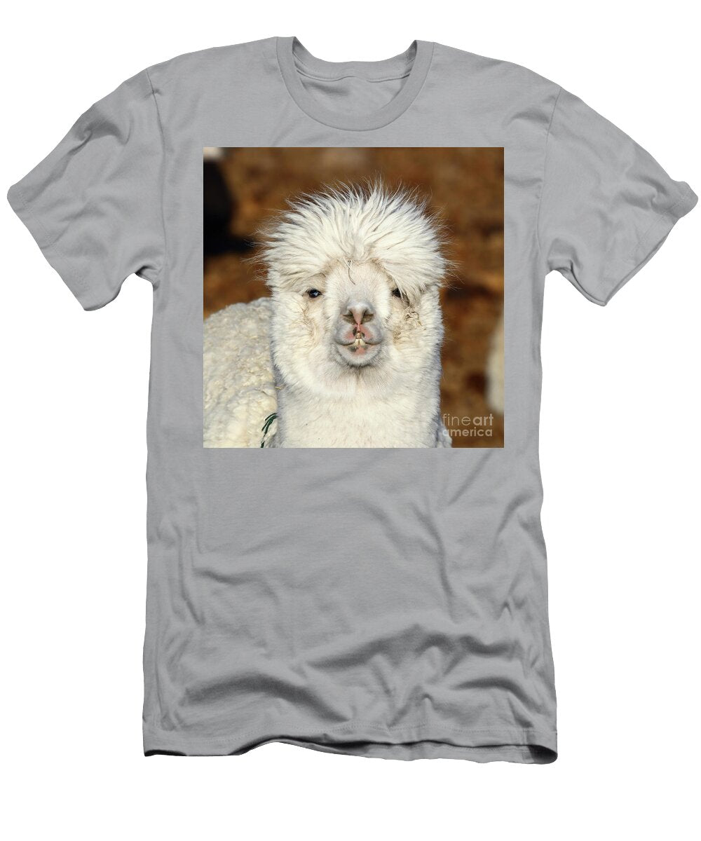 Alpaca Hair Fashion James Brunker T-Shirt