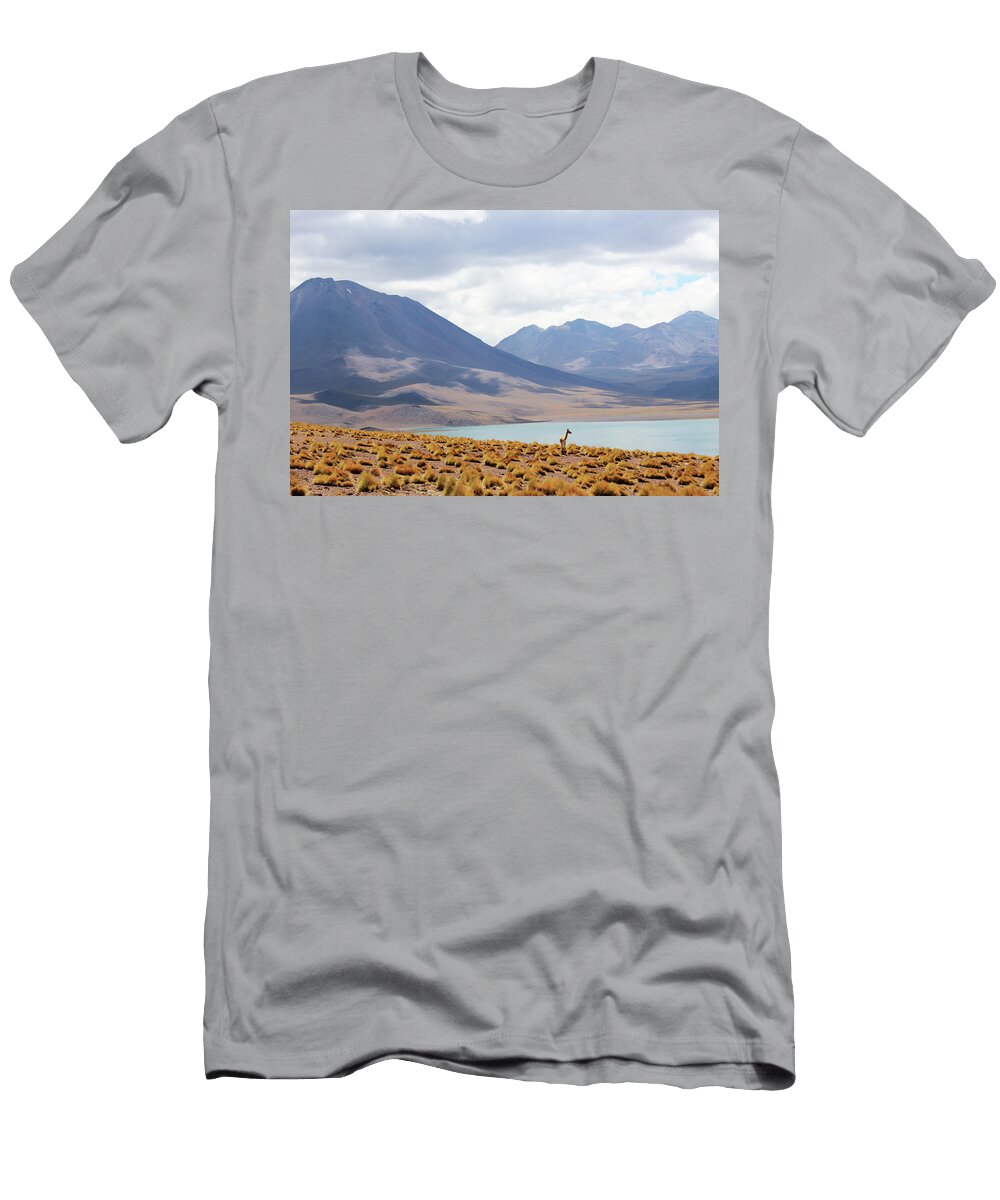 Alpaca Happy Home Artistry T-Shirt