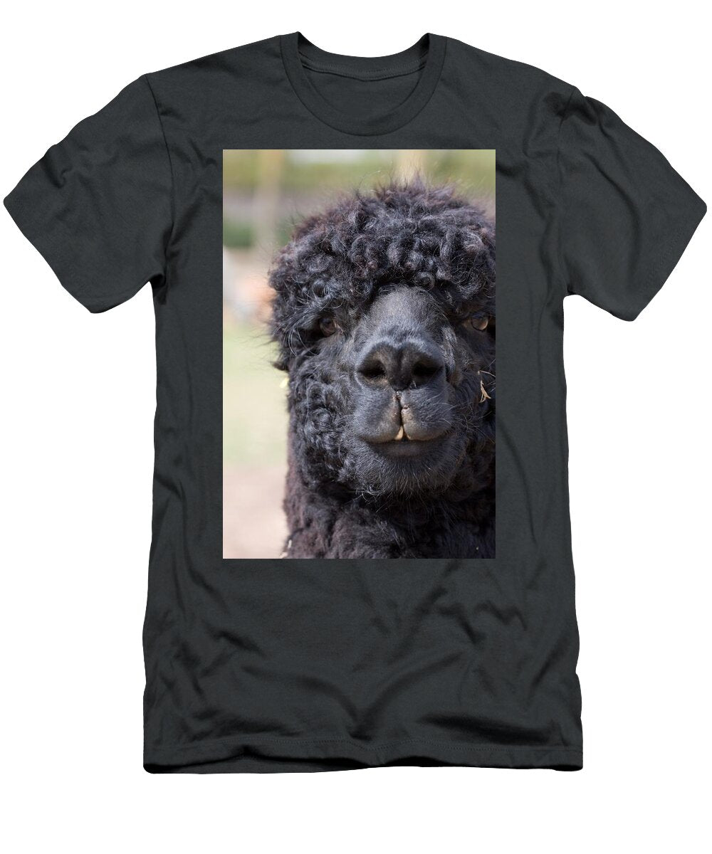 Alpaca Head Close Up Les Classics T-Shirt