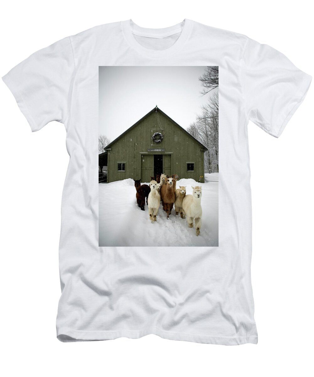Alpaca Herd At Farm in Snowfall Maine Peter Dennen T-Shirt