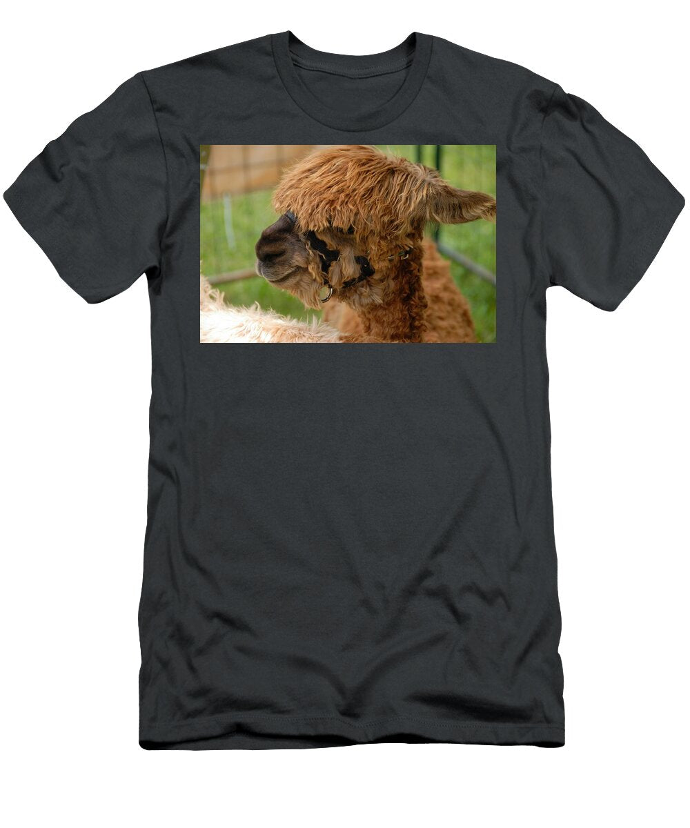 Alpaca L7 Les Classics T-Shirt