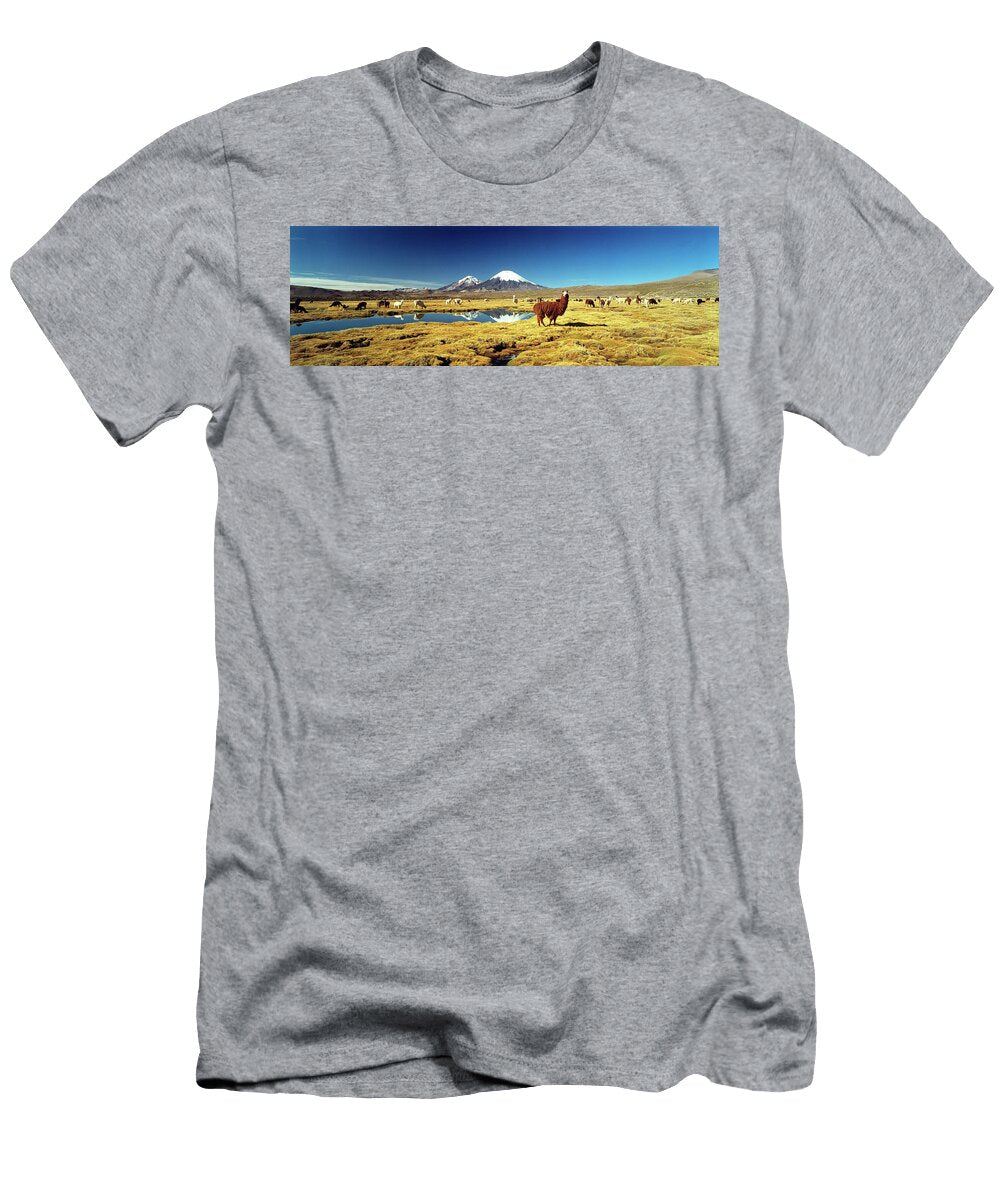 Alpaca Lama Pacos and Llama Lama Glama Animal Images T-Shirt