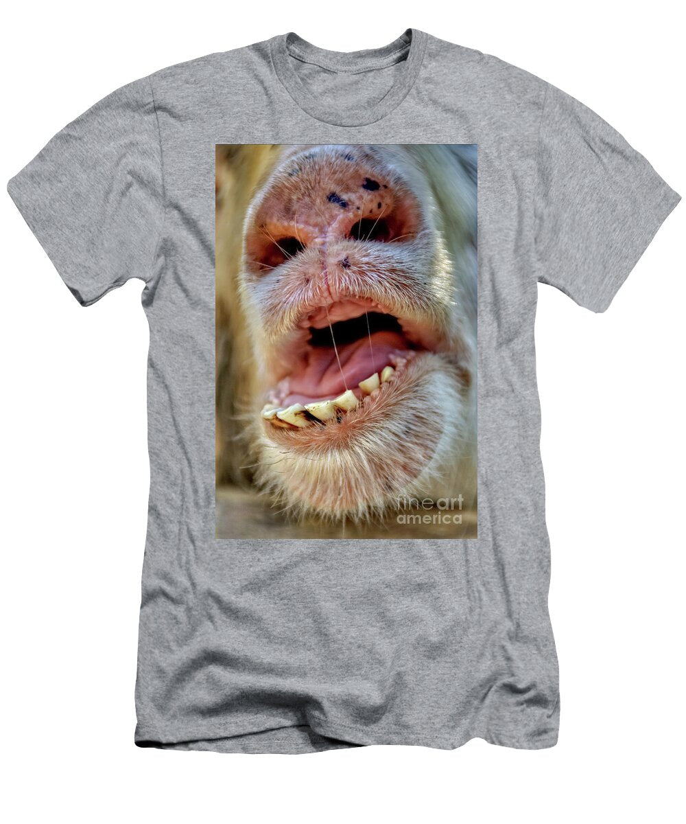 Alpaca Lama Pacos Closeup of the Mouth and Teeth Vladi Alon T-Shirt