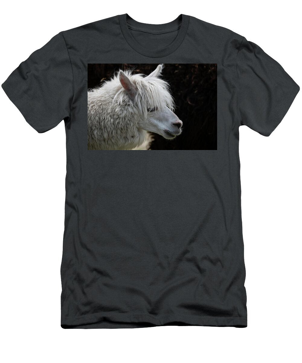 Alpaca Lama Pacos Portrait Artur Bogacki T-Shirt
