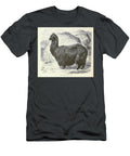 Alpaca Lama Pacos S5 Historic Illustrations T-Shirt