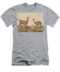 Alpaca Left and Vicuna Right Llamas From Le Costume Ancien Et Moderne Volume Ii Plate 12 Vittorio Raineri T-Shirt