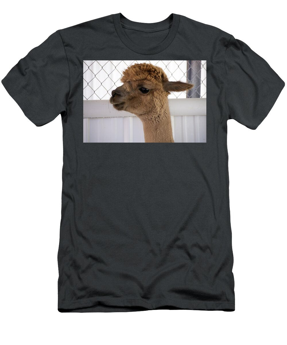 Alpaca Les Classics T-Shirt