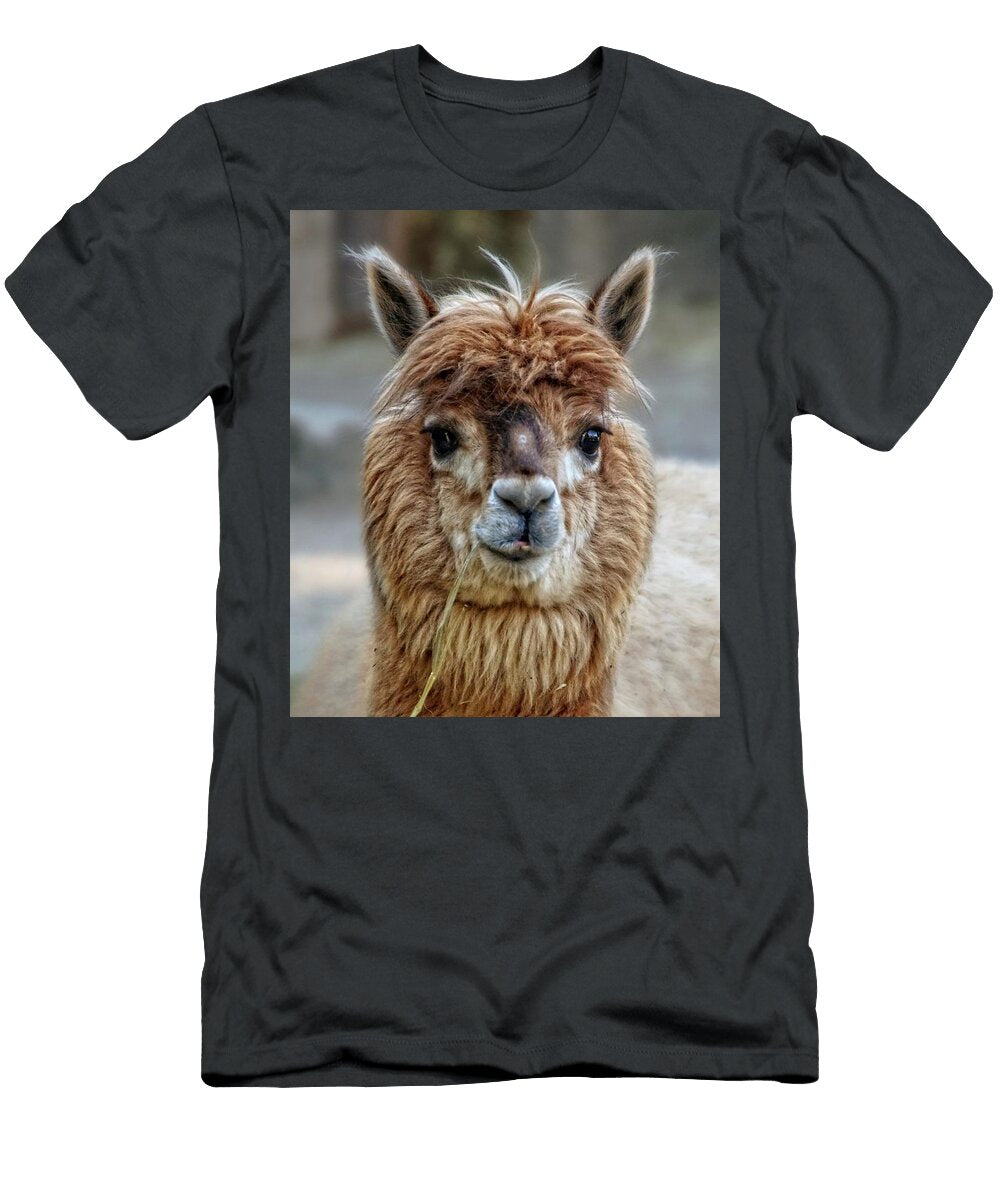 Alpaca Llama Animals Wool Les Classics T-Shirt