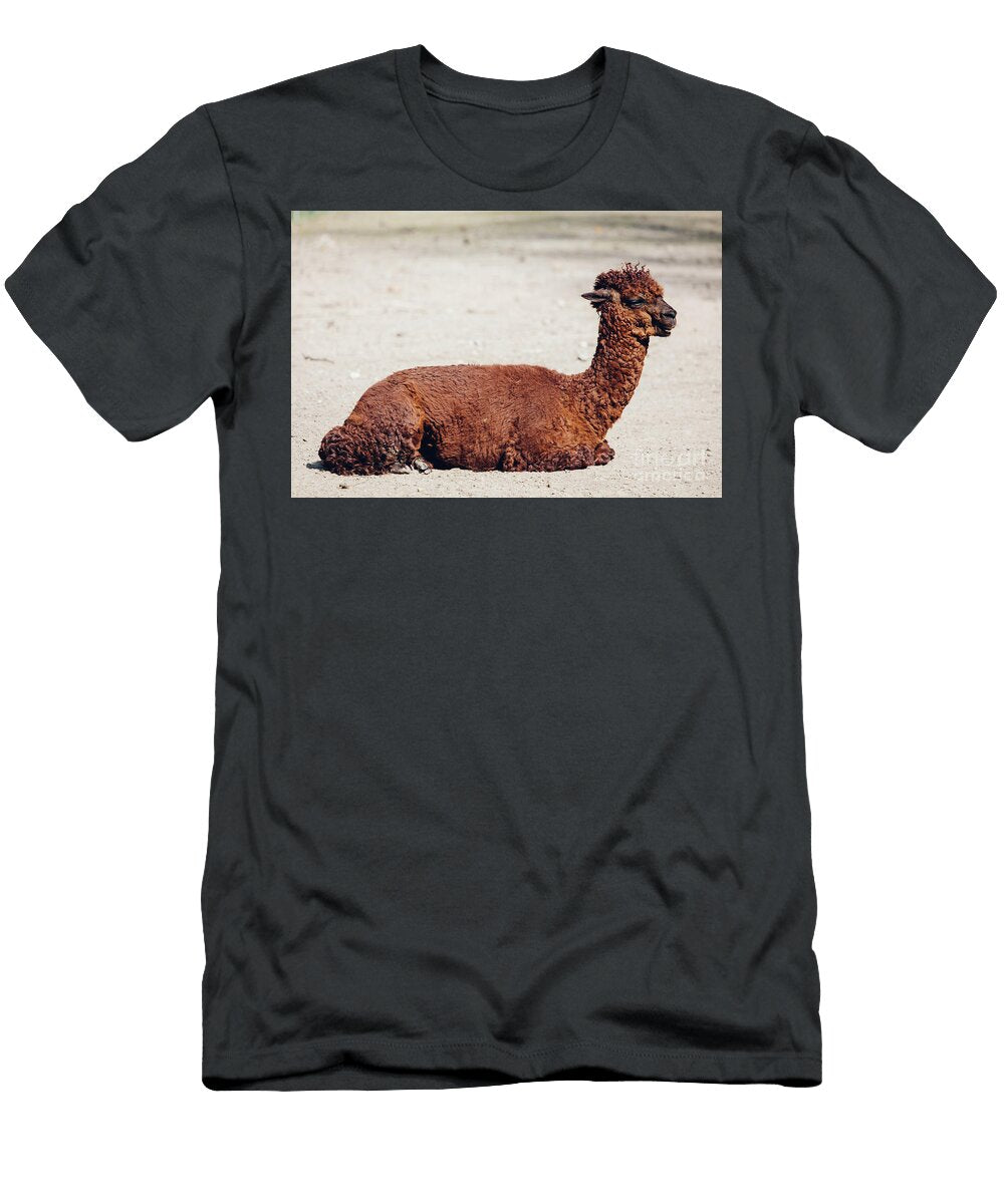 Alpaca Lying Portrait Michal Bednarek T-Shirt