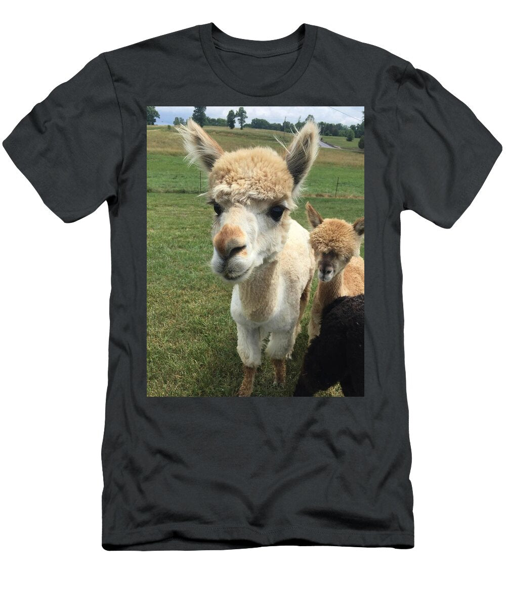 Alpaca Mountain Man Les Classics T-Shirt