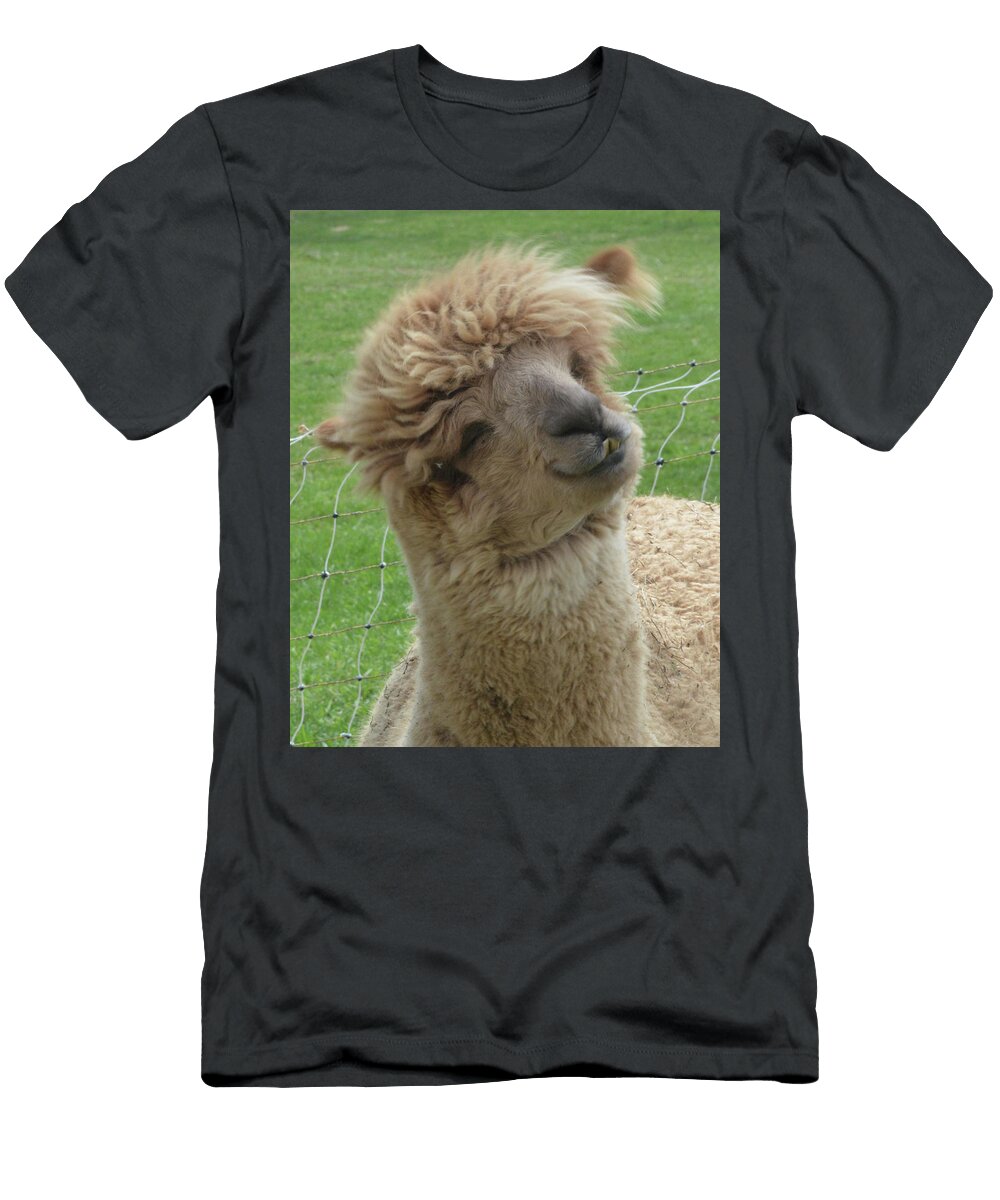 Alpaca Philip Ralley T-Shirt