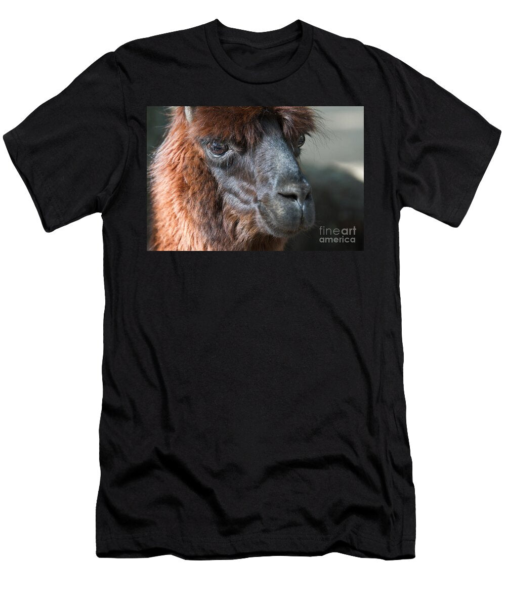 Alpaca Portrait Dr Hinrich Bsemann T-Shirt
