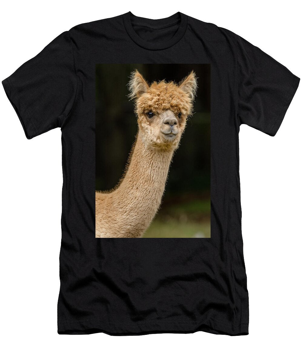 Alpaca Portrait Greg Nyquist T-Shirt