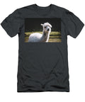 Alpaca Portrait Michal Bednarek T-Shirt
