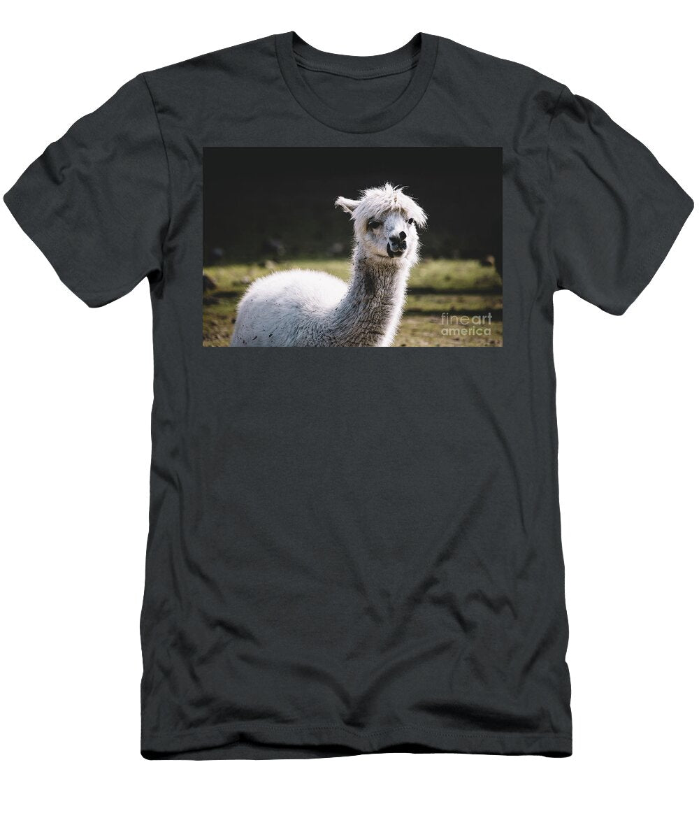 Alpaca Portrait Michal Bednarek T-Shirt