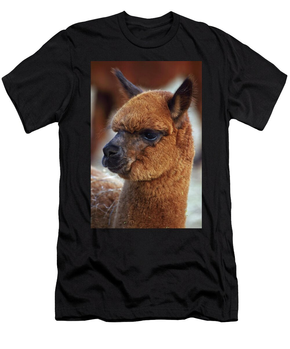 Alpaca Portrait New York John Cancalosi Natureplcom T-Shirt