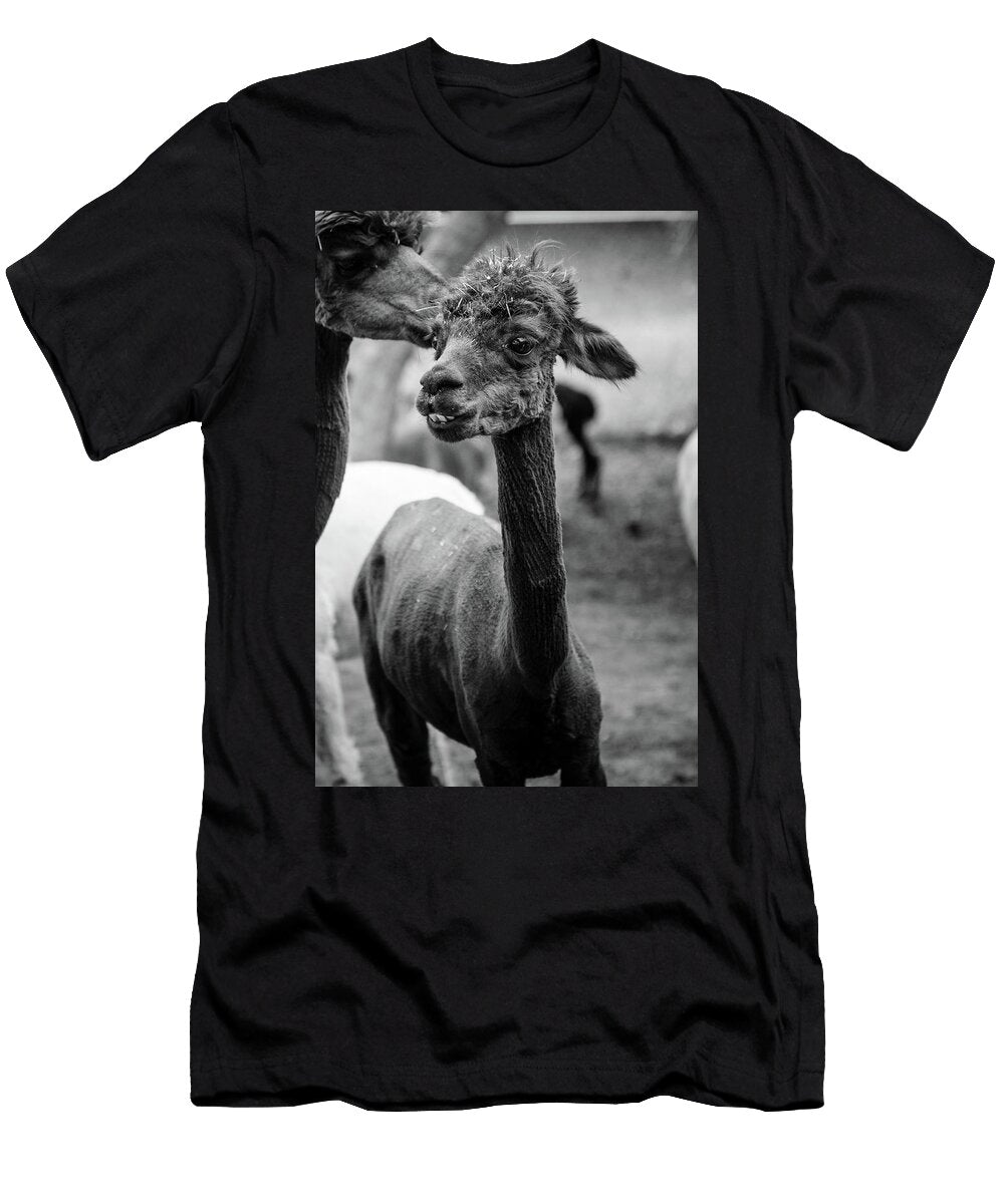 Alpaca Ralph Vazquez T-Shirt