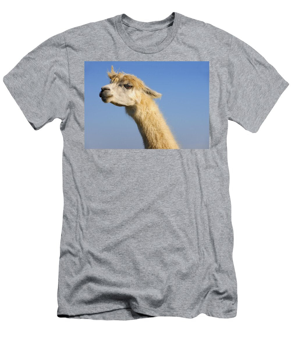 Alpaca Skip Hunt T-Shirt