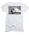 Alpaca Sleeping Les Classics T-Shirt