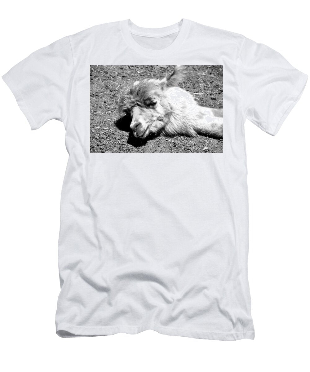 Alpaca Sleeping Les Classics T-Shirt