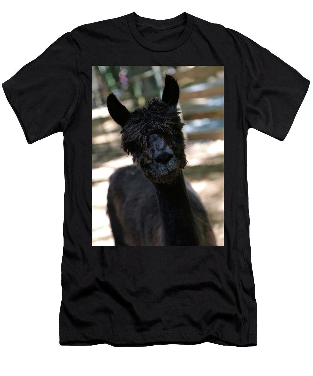 Alpaca Stamp City T-Shirt