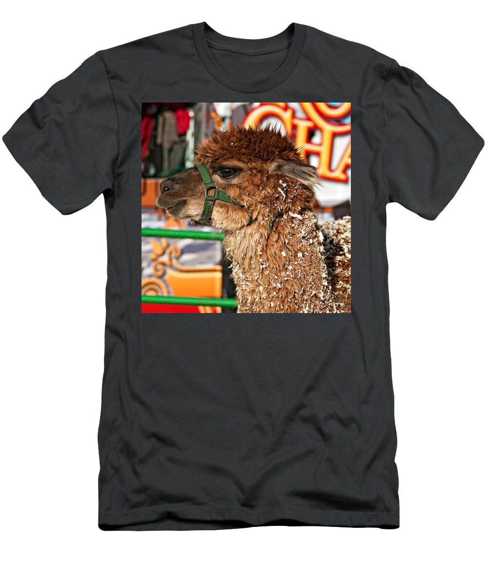 Alpaca Steve Harrington T-Shirt