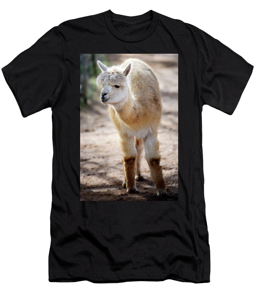 Alpaca Svetlana Sewell T-Shirt