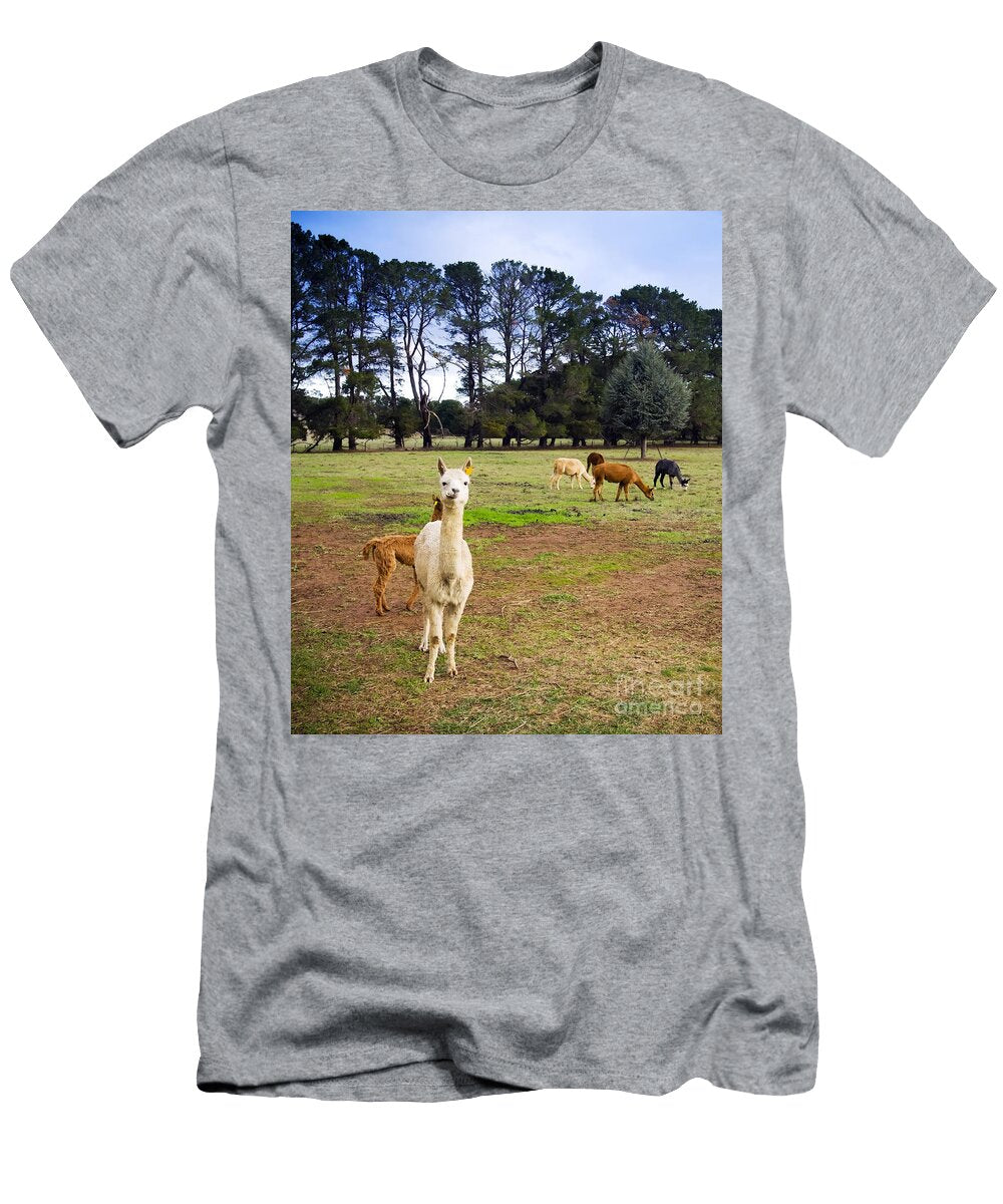 Alpaca Tim Hester T-Shirt