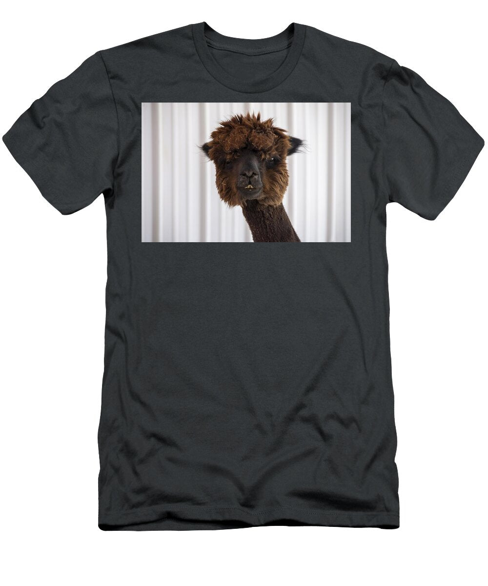 Alpaca U5 Les Classics T-Shirt