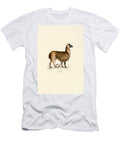 Alpaca Vicugna Pacos 1824 Hand Coloured Litho Jacques Christophe Werner T-Shirt