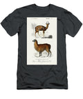 Alpaca Vicugna Pacos and Antilope Guib Charles Dessalines D Orbigny T-Shirt