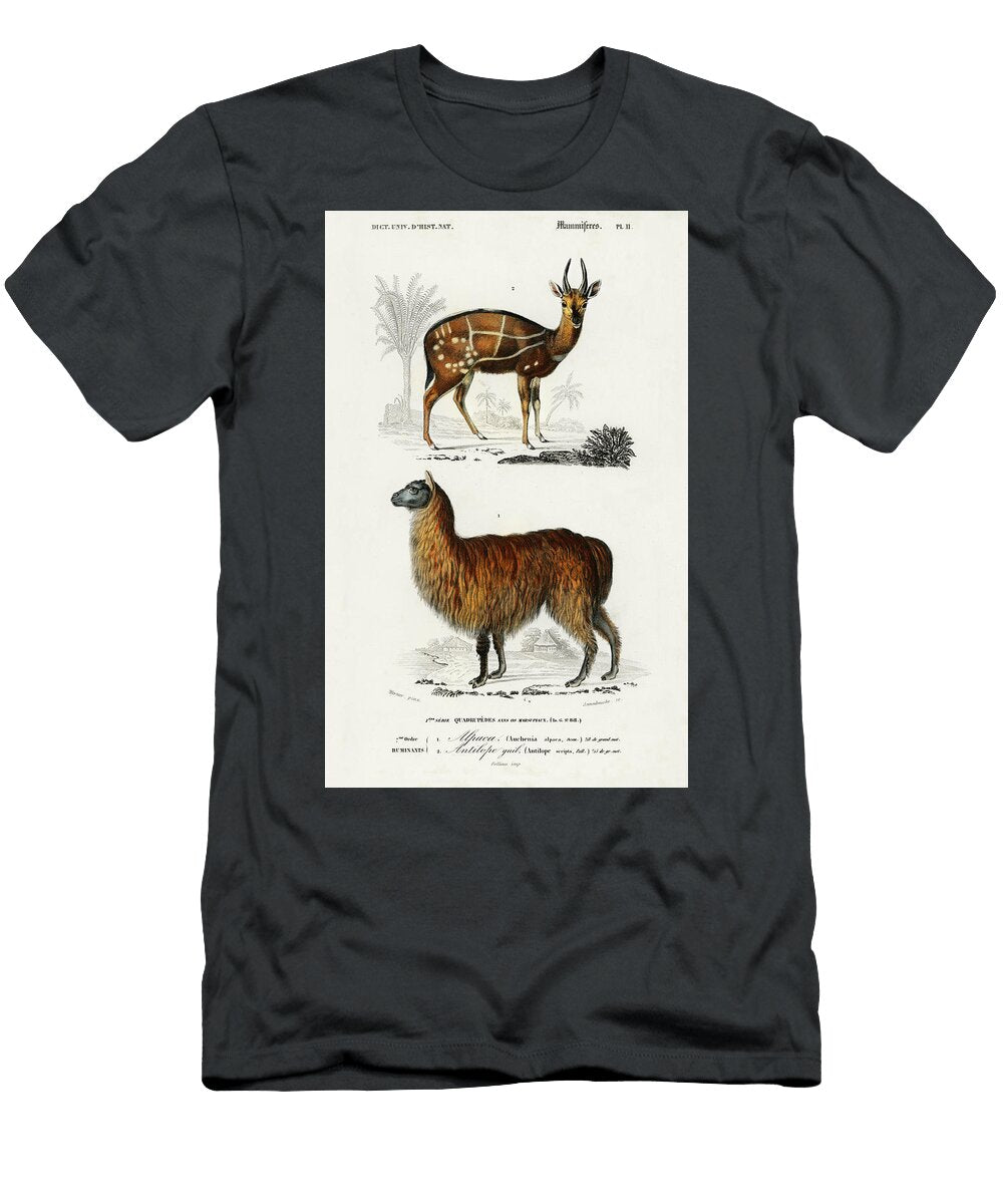 Alpaca Vicugna Pacos and Antilope Guib Charles Dessalines D Orbigny T-Shirt