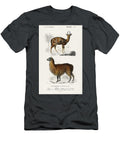 Alpaca Vicugna Pacos and Antilope Guib Illustrated By Charles Dessalines D Orbigny 1806 1876 Celestial Images T-Shirt
